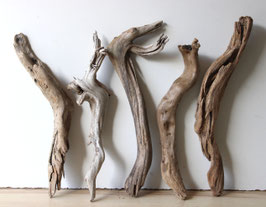 Treibholz Schwemmholz Driftwood  5  Hölzer Dekoration Garten Terrarium 41 cm - 45 cm **E78** (TR1277)
