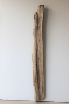 Treibholz Schwemmholz Driftwood  1 XXL Skulptur  129  cm (XXL241)