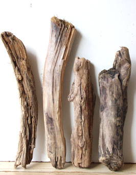 Treibholz Schwemmholz Driftwood 4 XL  Hölzer  Dekoration Garten Garderobe 39 cm - 53  cm  **E62**(TR1138 )