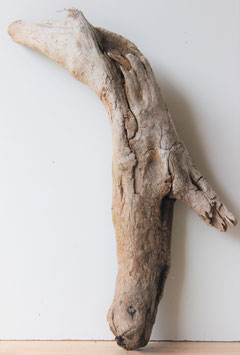 Treibholz Schwemmholz Driftwood  1  XXL Skulptur   75  cm  (XXL216)