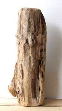Treibholz Schwemmholz Driftwood  1 XL  Stamm Lampe Dekoration Maritim  58 cm (ST435)