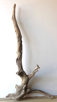 Treibholz Schwemmholz Driftwood  1 XXL  Wurzel Dekoration Garten Terrarium  77 cm lang (W638)