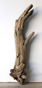 Treibholz Schwemmholz Driftwood 1  Wurzel Garten Terrarium 62  cm lang   (W677)