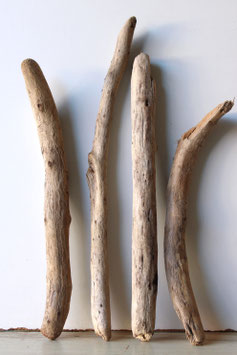 Treibholz Schwemmholz Driftwood 4 Äste  38 cm - 53 cm   (SA857)