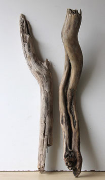 Treibholz Schwemmholz Driftwood  2 XXL  Hölzer Terrarium  Dekoration Garten  84 cm - 86  cm (TR962)
