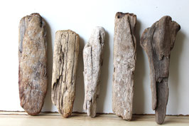 Treibholz Schwemmholz Driftwood 5 Hölzer Dekoration Garten Terrarium  27 cm - 33 cm **67** (TR1129)
