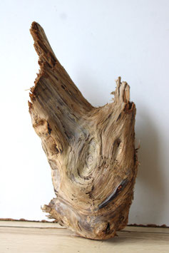 Treibholz Schwemmholz Driftwood 1 knorrige Skulptur  Dekoration Garten Terrarium 24  cm (SA812)