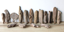 Treibholz Schwemmholz Driftwood  15 kleine Hölzer Dekoration Garten Terrarium 11-23 cm **208** (TR1211)