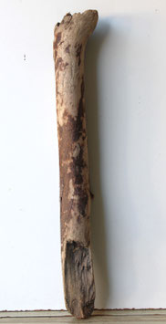 Treibholz Schwemmholz Driftwood 1   Stamm  Dekoration Garten Terrarium 67 cm  (ST509)