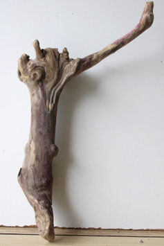 Treibholz Schwemmholz Driftwood  1 Wurzel Dekoration Garten Terrarium 45 cm (W645)