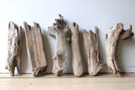 Treibholz Schwemmholz Driftwood 6 Hölzer Dekoration Garten Terrarium 23 cm - 31 cm lang **187** (TR1061)