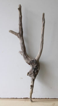 Treibholz Schwemmholz Driftwood  1 Wurzel Dekoration Garten Terrarium  56 cm lang (W728)