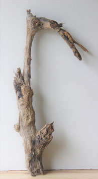 Treibholz Schwemmholz Driftwood  1 XXL  Skulptur  83 cm  (XXL220)