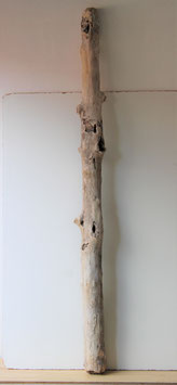Treibholz Schwemmholz Driftwood  1 MEGA  Stamm 196 cm (ST415)