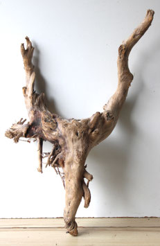 Treibholz Schwemmholz Driftwood 1 XXL Wurzel Dekoration Garten Terrarium 80 cm (W706)