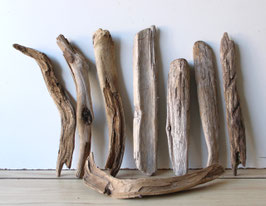 Treibholz Schwemmholz Driftwood 8 Hölzer Dekoration Garten Terrarium 33 cm - 43 cm lang **E180** (TR1043)