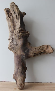 Treibholz Schwemmholz Driftwood 1 XXL Skulptur  (XXL160)