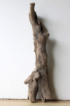 Treibholz Schwemmholz Driftwood 1 Wurzel Dekoration Terrarium Garten 52 cm lang (W663)