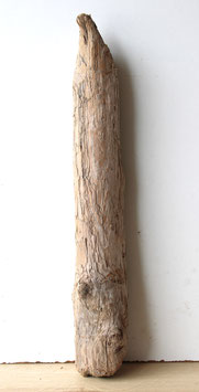 Treibholz Schwemmholz Driftwood  1 kleiner   Stamm Lampe Dekoration Maritim  52 cm (ST429)