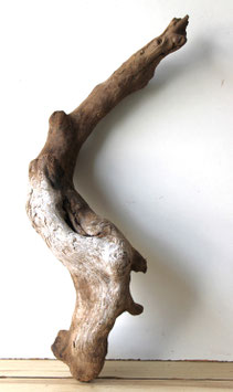 Treibholz Schwemmholz Driftwood 1  knorrige  Wurzel Dekoration Garten Terrarium 70 cm (W714)