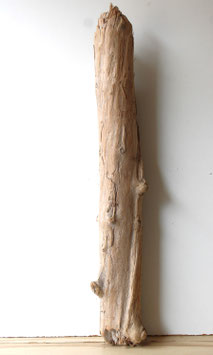 Treibholz Schwemmholz Driftwood 1 XXL  Stamm Dekoration Garten Terrarium 95 cm (ST483)