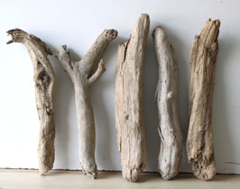 Treibholz Schwemmholz Driftwood 5 Hölzer Dekoration Garten Terrarium 40 cm - 46 cm **E39** (TR1305)