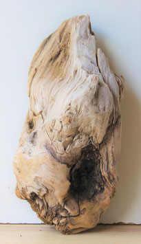 Treibholz Schwemmholz Driftwood 1 knorrige Skulptur  32 cm  (S287)