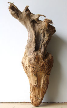 Treibholz Schwemmholz Driftwood 1 knorrige  Wurzel Dekoration Terrarium Garten 54 cm lang (W665)