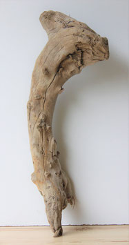 Treibholz Schwemmholz Driftwood  1 XXL  Skulptur  78 cm  (XXL221)