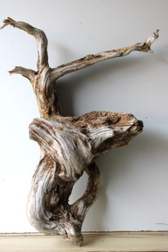 Treibholz Schwemmholz Driftwood  1 knorrige MEGA   Wurzel 93 cm (W658)