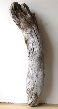 Treibholz Schwemmholz Driftwood  1 XXL Skulptur  Terrarium Garten Dekoration 88 cm  (XXL329)