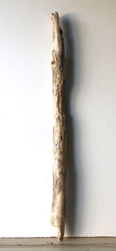 Treibholz Schwemmholz Driftwood  1 XXL Ast  Garderobe Dekoration Garten 114 cm  (Ä1683)