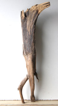 Treibholz Schwemmholz Driftwood  1 XL Wurzel  Terrarium Garten Dekoration 73 cm  (SA873)