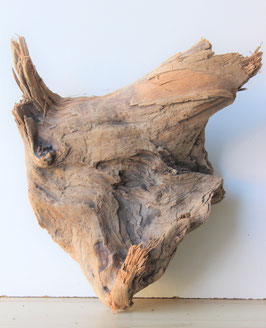 Treibholz Schwemmholz Driftwood  1 knorrige Rarität 43 cm  (R276)