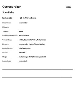 Fachmann/Frau Betriebsunterhalt ab 2023, 819011, 123 Karten, Rückseite beschriftet, ohne Ordner