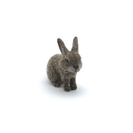 Häschen - Bunny