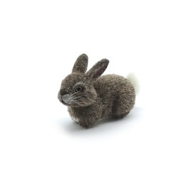 Häschen - Bunny