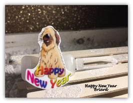 Weihnachtshunde MotivSpange: Briard 4 Happy New Year