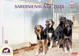 Monatskalender SardinienHunde 2026