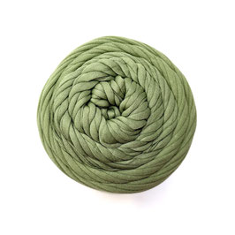 FC - FETTUCCIA SOFT-MAS / 44 SALVIA