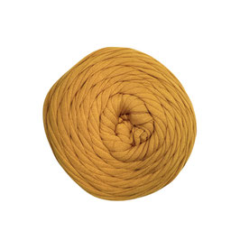 FC - FETTUCCIA SOFT-MAS / 64 ORO (SENAPE)