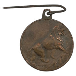 Hommage aux soldats invalides / Hulde aan de verminkte soldaten - pin
