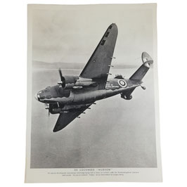 Affiche - 'De Lockheed 'Hudson'