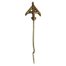 Berkenkruis - pin