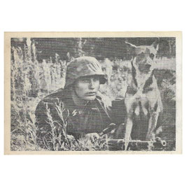Wallon! L'armée du socialisme t'appelle! Engage-toi à la Waffen-SS - L'ordonnance et son chin (REPRO)