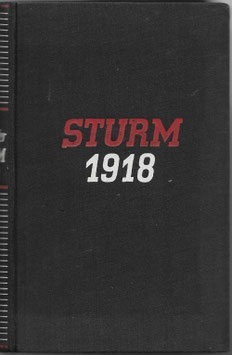 Sturm 1918