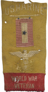 US Army - Marine Corps Service Star Banner