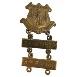 US Defense Agent Merit Award US Treasury