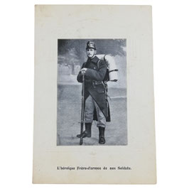 Albert I - L'héroïque Frère-d'armes de nos Soldats