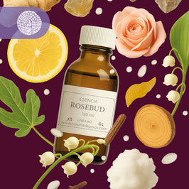 ROSEBUD